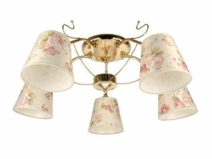 62795d15782cb32fc61205aa-1