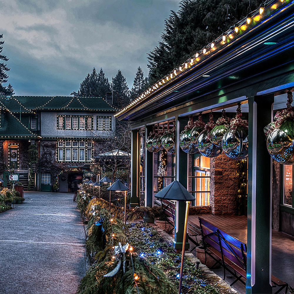 68qoiiqsvi4ag091oiiquzlptcuzlyia