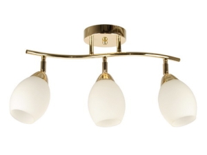 cca21c1c31fa11ea80df1c1b0d4446c0_cca21c1d31fa11ea80df1c1b0d4446c0