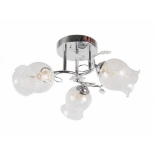 AB98904F-8F6E-41B5-8DB4-19B728AE5F58-500x500