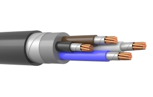 vvgng-4-25-50_termo.1000x1000w